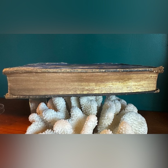 Decorum: A Practical Treatise on Etiquette & Dress of the Best American Society - Picture 16 of 16